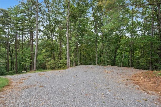 1725 Cherokee Gold Trail, Ball Ground, GA 30107