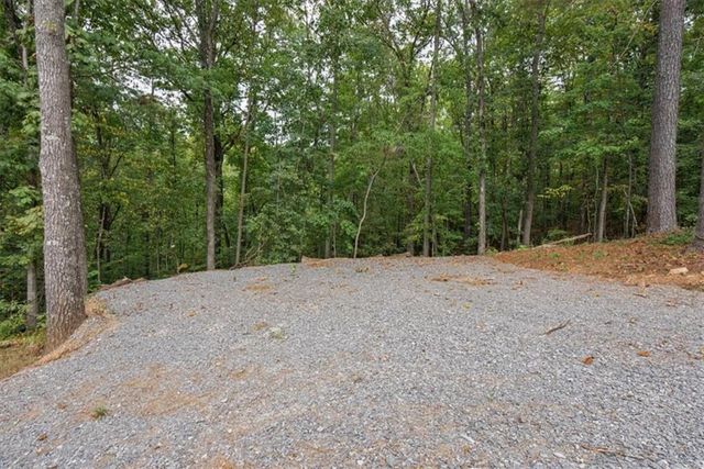 1725 Cherokee Gold Trail, Ball Ground, GA 30107