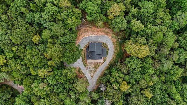 1725 Cherokee Gold Trail, Ball Ground, GA 30107