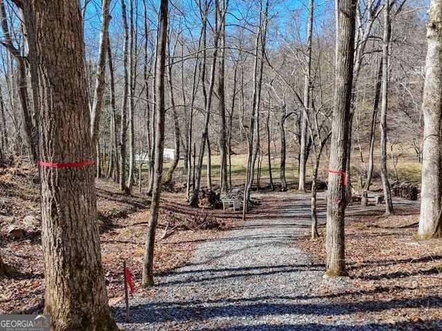 2912 Gribble Edwards Road, Hayesville, NC 28904