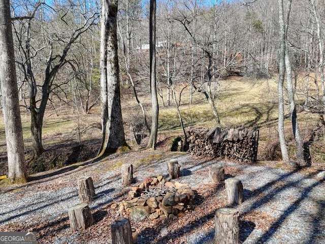 2912 Gribble Edwards Road, Hayesville, NC 28904