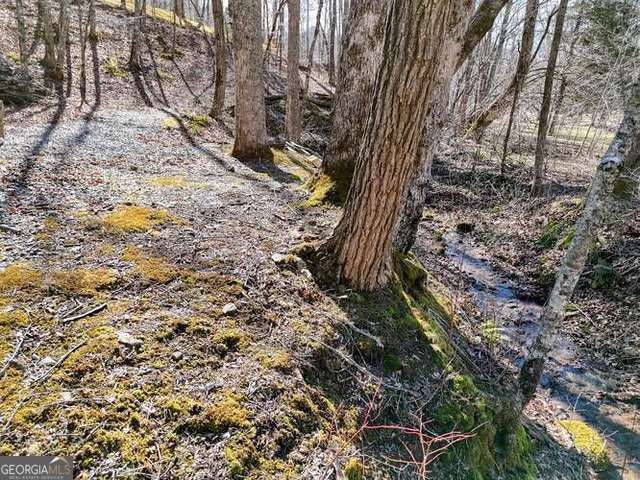 2912 Gribble Edwards Road, Hayesville, NC 28904