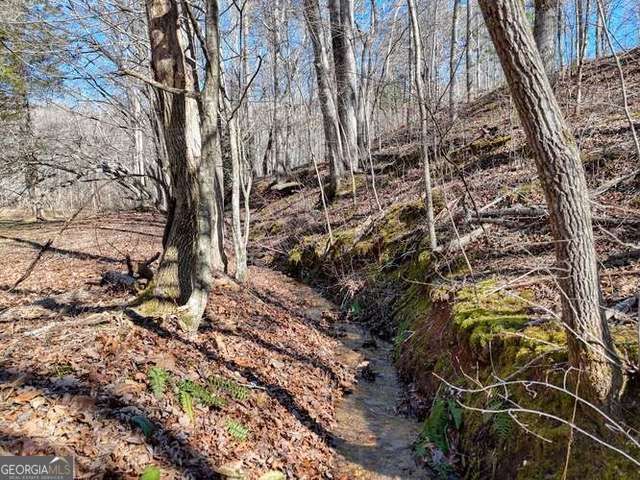 2912 Gribble Edwards Road, Hayesville, NC 28904