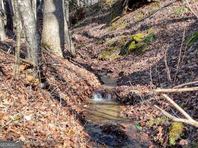 2912 Gribble Edwards Road, Hayesville, NC 28904