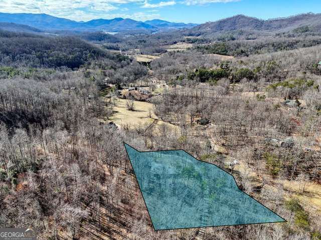 2912 Gribble Edwards Road, Hayesville, NC 28904