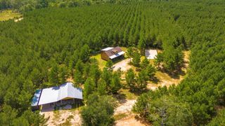 1095 Tram Road, Livingston, TX 77351