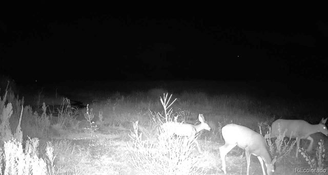 18320 Falcon Highway, Peyton, CO 80831