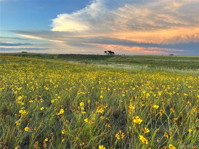 18320 Falcon Highway, Peyton, CO 80831