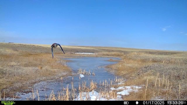 18320 Falcon Highway, Peyton, CO 80831