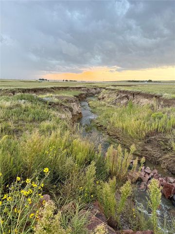 18320 Falcon Highway, Peyton, CO 80831