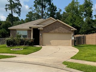 11502 Castle Nugent Court, Conroe, TX 77304