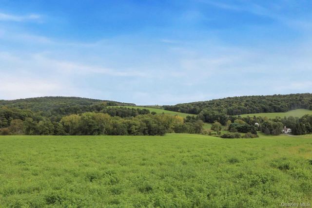 468 TRIPP Road, Pine Plains, NY 12567