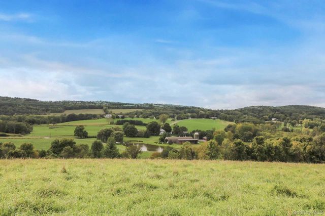 468 TRIPP Road, Pine Plains, NY 12567