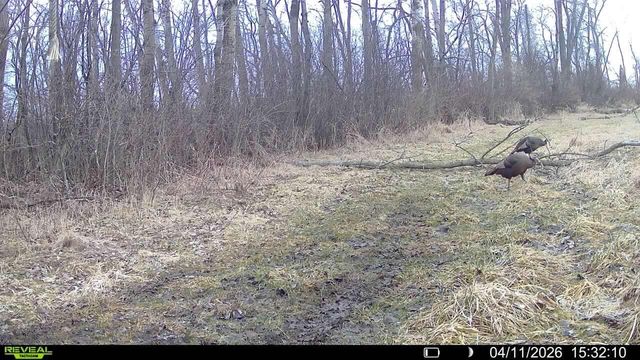 N9556 State Highway 67, Elkhart Lake, WI 53020