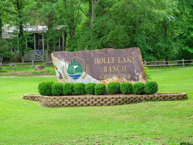 327 Peaceful Woods Trail, Holly Lake Ranch, TX 75765