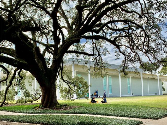 2608 Hopkins Street, Houston, TX 77006