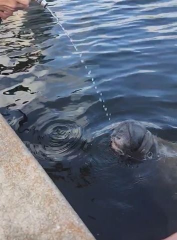 1210 S MARYKNOLL ROAD, Englewood, FL 34223