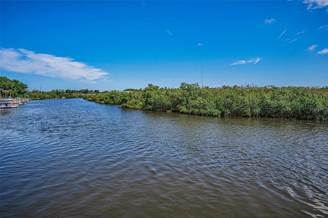 133 N PINELLAS AVENUE, Tarpon Springs, FL 34689