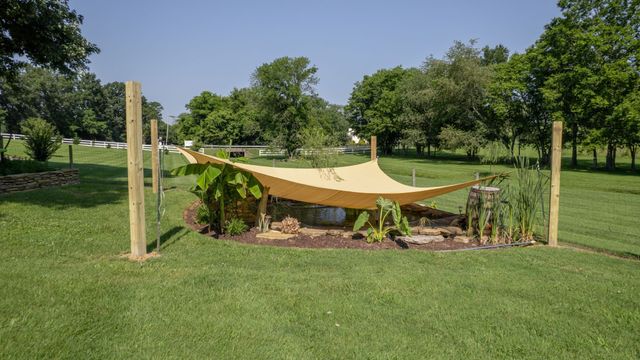 1339 Horn Springs Rd, Lebanon, TN 37087