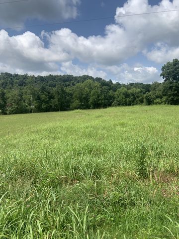 4027 Panhandle Rd, Wartrace, TN 37183