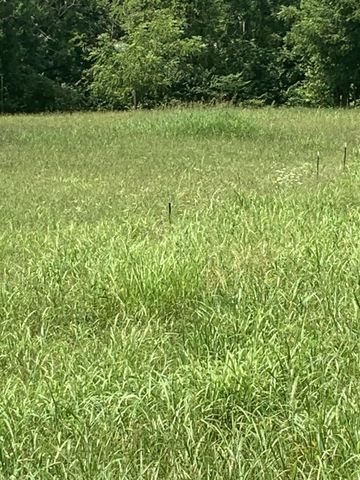 4027 Panhandle Rd, Wartrace, TN 37183