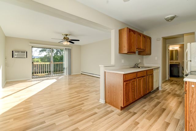 7413 Brookdale Drive 209, Darien, IL 60561