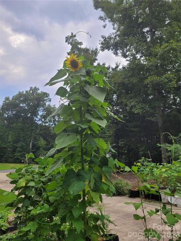 160 Winsome Forest Drive, Nebo, NC 28761