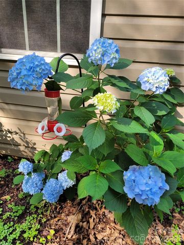 160 Winsome Forest Drive, Nebo, NC 28761