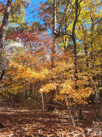 160 Winsome Forest Drive, Nebo, NC 28761