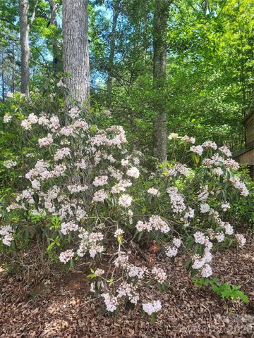 160 Winsome Forest Drive, Nebo, NC 28761