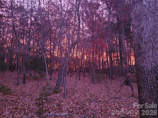 160 Winsome Forest Drive, Nebo, NC 28761