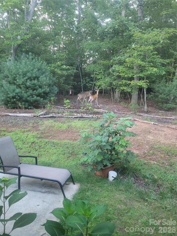 160 Winsome Forest Drive, Nebo, NC 28761