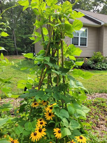 160 Winsome Forest Drive, Nebo, NC 28761