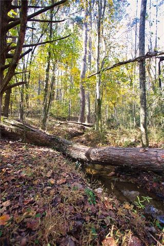 4685 Barnes Court, Loganville, GA 30052