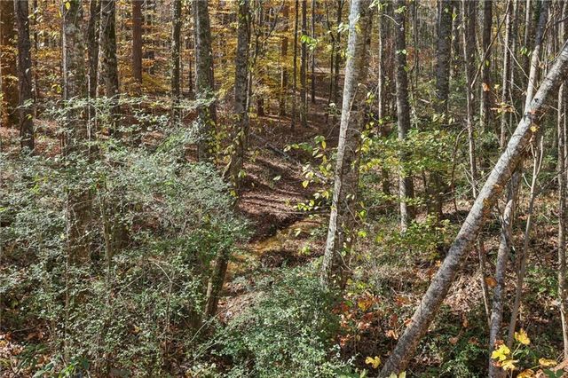 4685 Barnes Court, Loganville, GA 30052