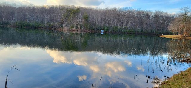 31 Chickory Ln, Monteagle, TN 37356