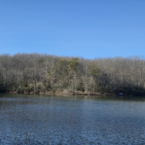 31 Chickory Ln, Monteagle, TN 37356