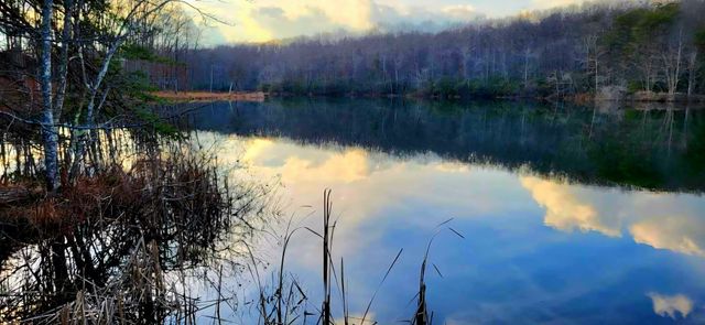 31 Chickory Ln, Monteagle, TN 37356