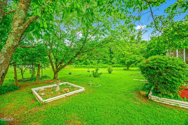 2205 Shipetown Road, Mascot, TN 37806