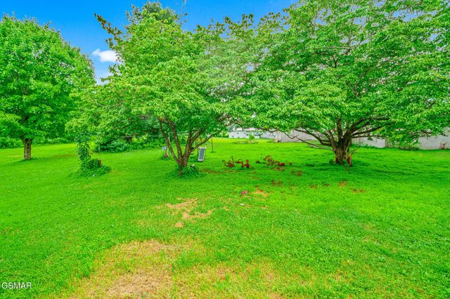 2205 Shipetown Road, Mascot, TN 37806
