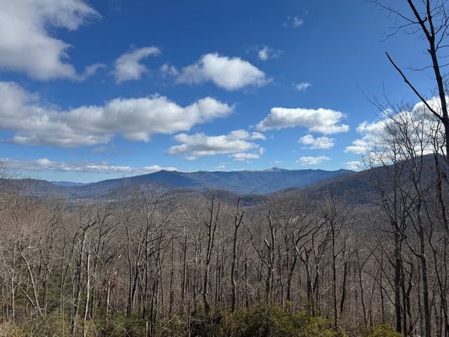 579 Overlook Loop, Young Harris, GA 30582