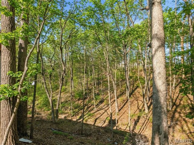 10866 Mulberry Drive, Unincorporated, MO 63348