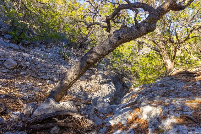 1030 Owl Hollow, Leakey, TX 78873