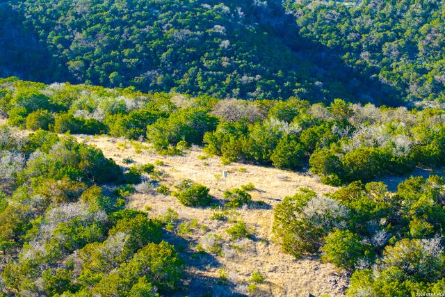 1030 Owl Hollow, Leakey, TX 78873