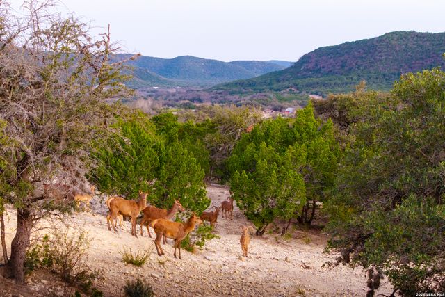 1030 Owl Hollow, Leakey, TX 78873