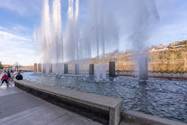 229 Dogwood Park Trail, Branson, MO 65616