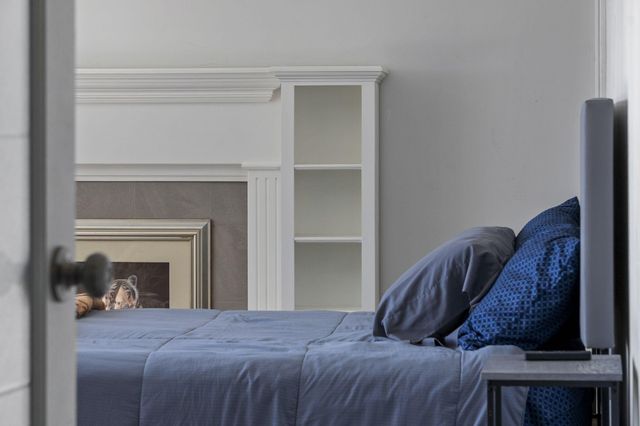 229 Dogwood Park Trail, Branson, MO 65616