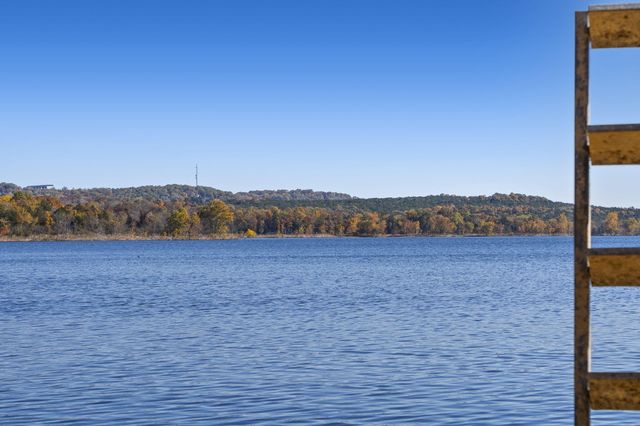 229 Dogwood Park Trail, Branson, MO 65616