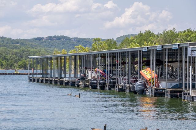 229 Dogwood Park Trail, Branson, MO 65616