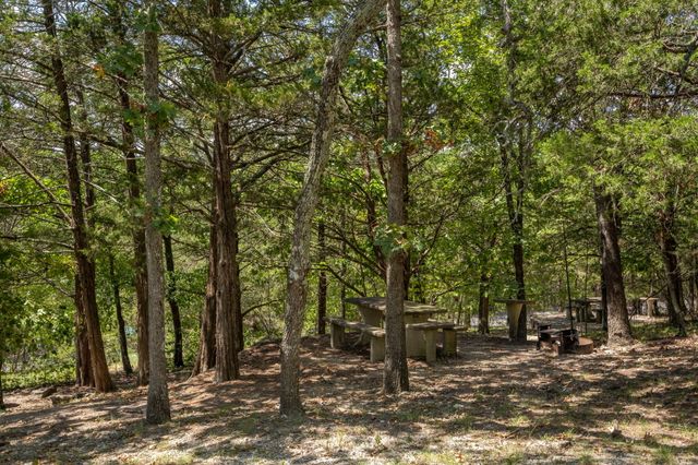229 Dogwood Park Trail, Branson, MO 65616
